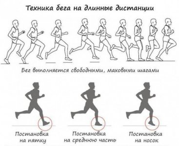 БЕГ НА 1, 1.5, 2, 2.5, 3 км (1000 м, 1500 м, 2000 м, 2500 м, 3000 м)